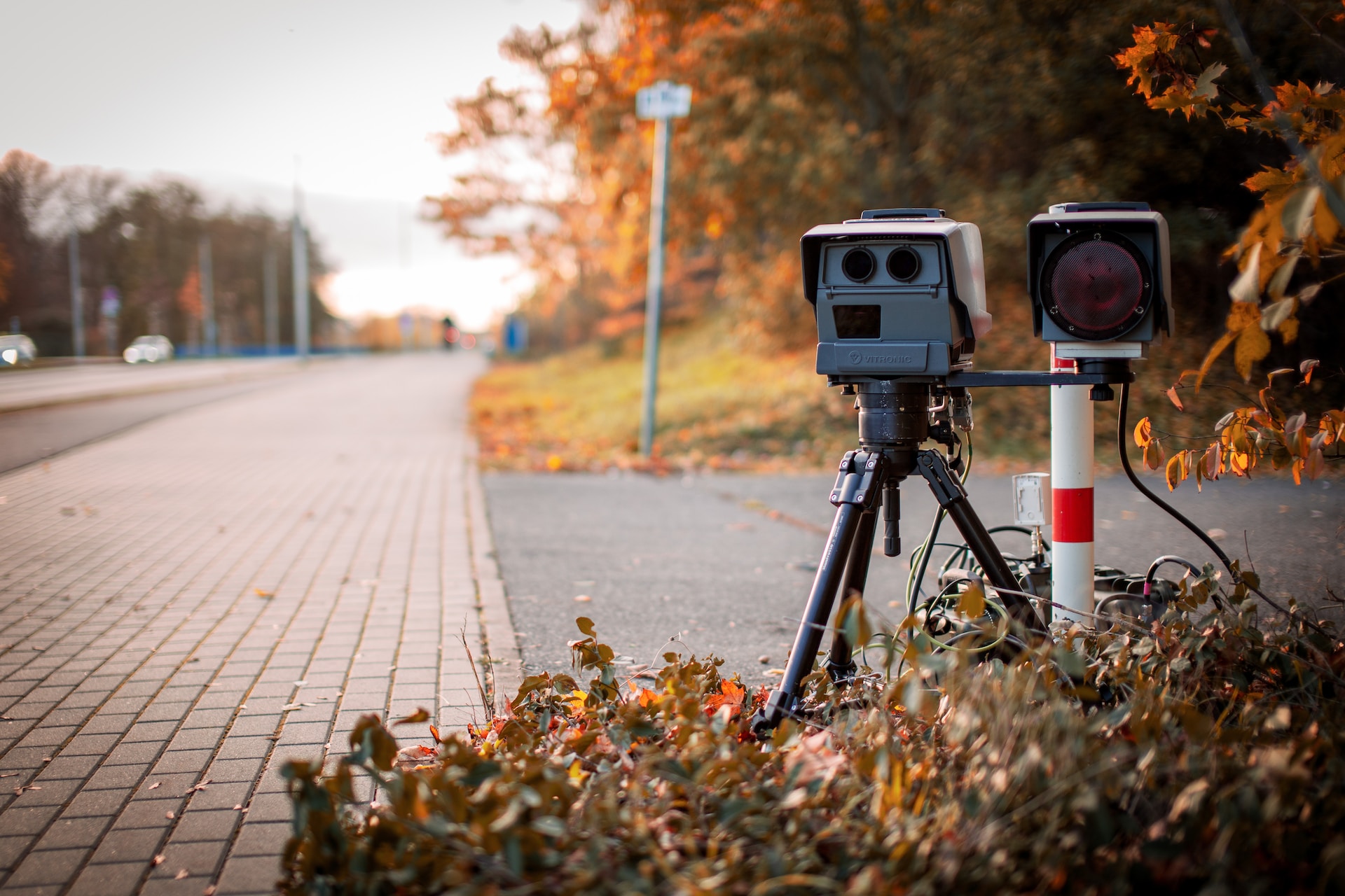 denny muller PulU3AxfJtQ unsplash